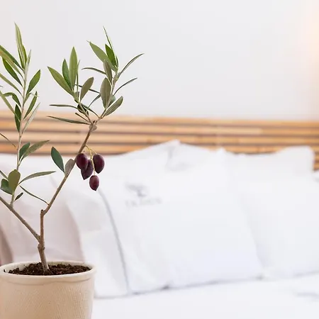 Olivea Premium Homes