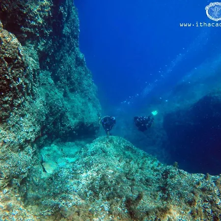 Olivea Premium Homes Σπίτι διακοπών *