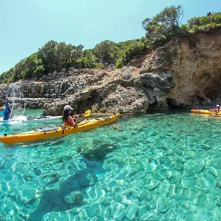 Olivea Premium Homes