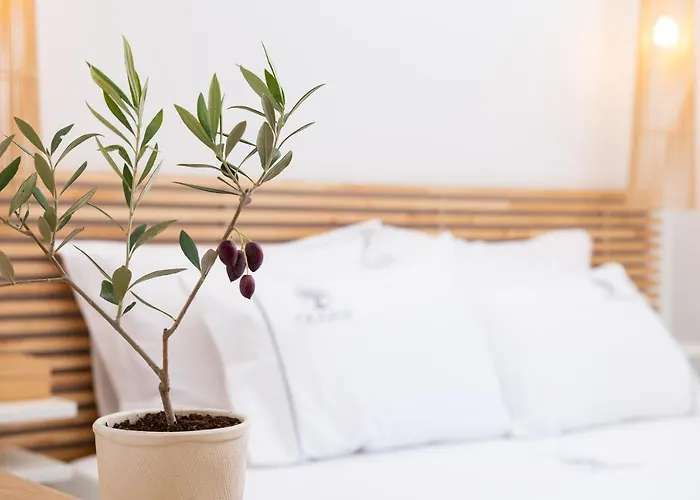 Olivea Premium Homes