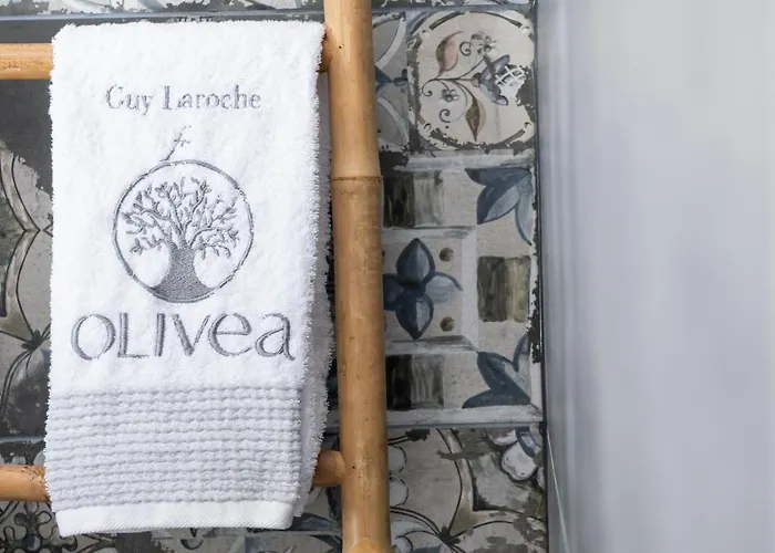Olivea Premium Homes Hébergement de vacances
